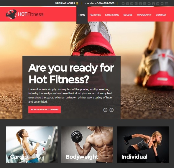 Шаблон Hot Fitness от HotThemes